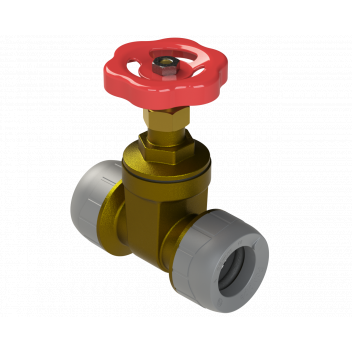 POLYPLUMB GATE VALVE BRASS; 22MM