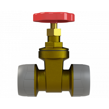 POLYPLUMB GATE VALVE BRASS; 22MM